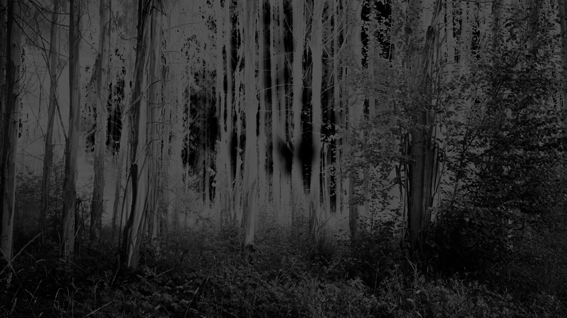 Quelle est la différence entre l'opacité, le flux et la densité dans Photoshop ?