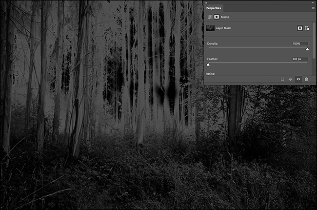 densité du masque réglée sur 100 %