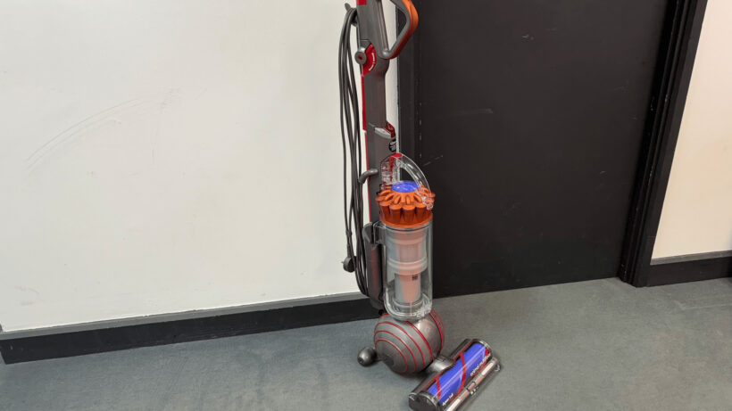 Image de fonction multifloor animale Dyson Ball