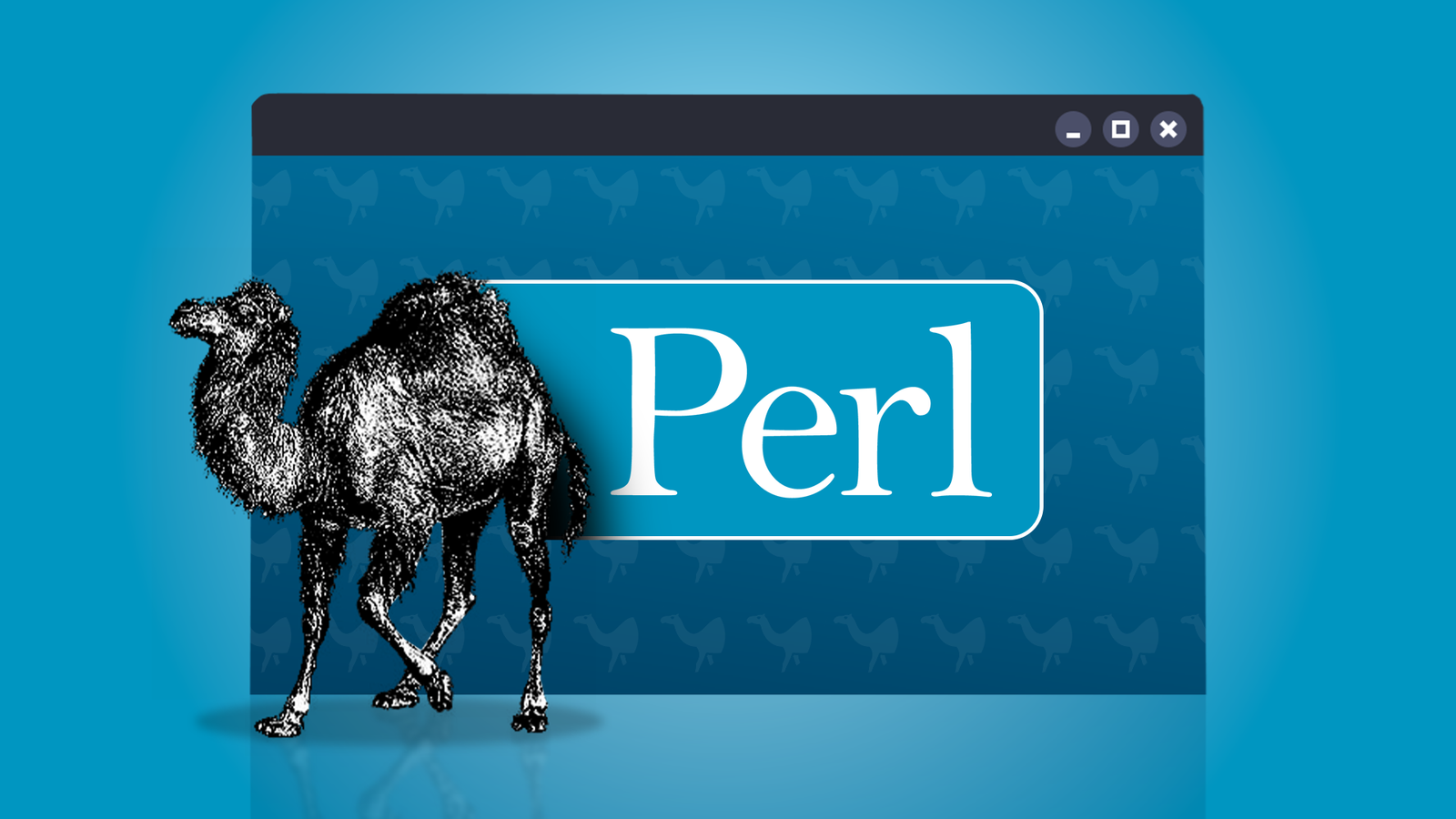 6 Perl One-Liners pour remplacer les utilitaires Linux courants