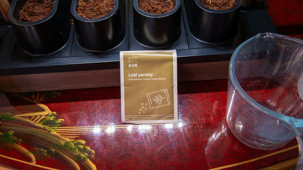 Graines de Pingouin Mini