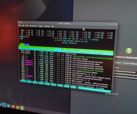 L'interface utilisateur du terminal htop affichant les statistiques du système Linux sur l'ordinateur portable Kubuntu Focus M2 Gen 6.