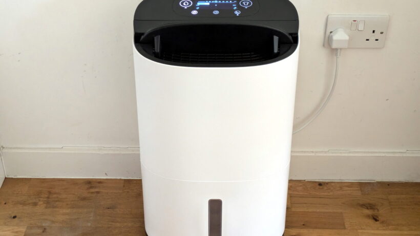 Photo de face et légèrement au-dessus