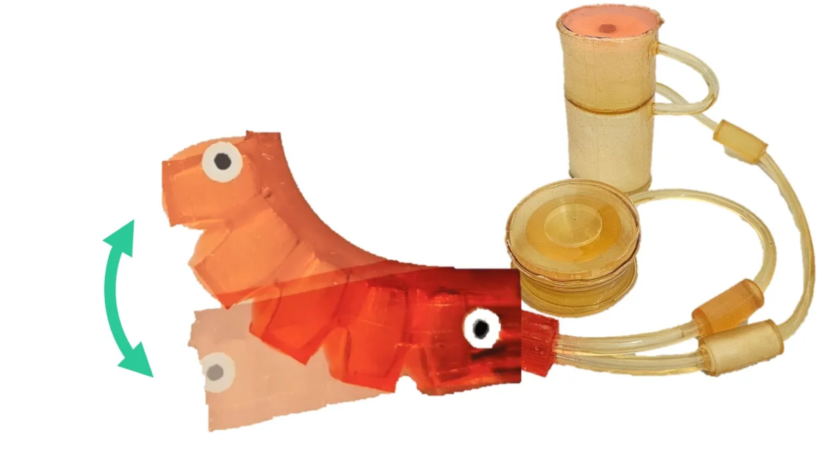 Nous avons des robots comestibles maintenant, pour une raison quelconque