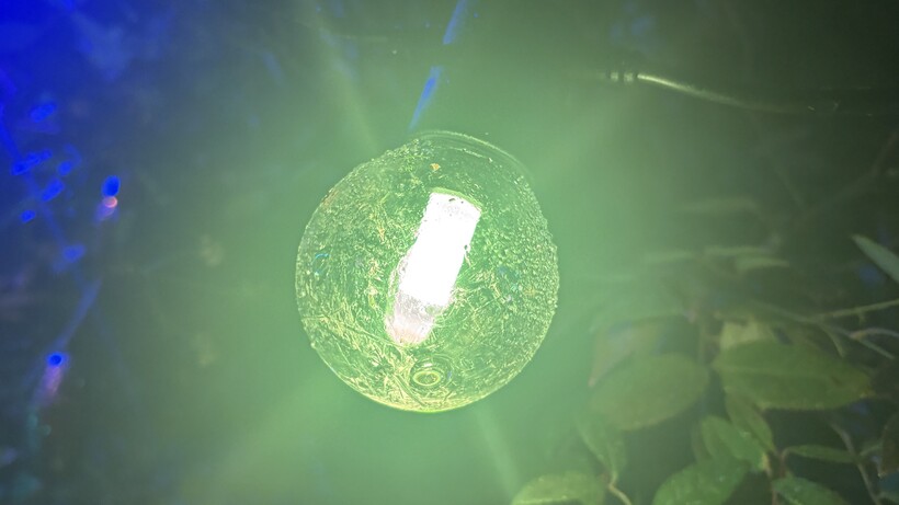 Examen des guirlandes lumineuses d'extérieur Philips Hue Festavia Globe lumière verte