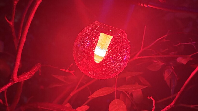 Examen des guirlandes lumineuses extérieures Philips Hue Festavia Globe lumière rouge