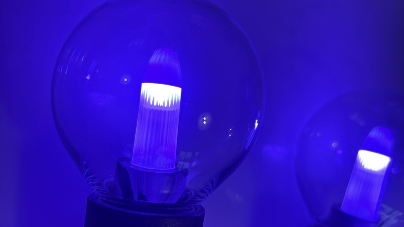 Examen des guirlandes lumineuses d'extérieur Philips Hue Festavia Globe, lumière violette