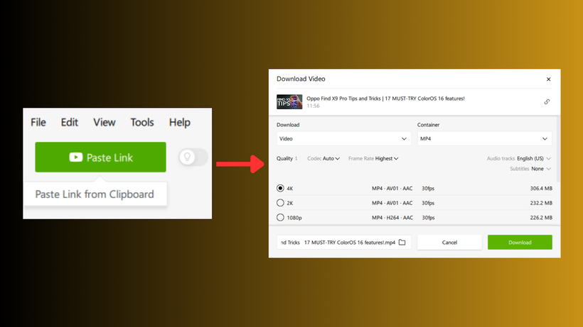 Téléchargeur vidéo 4K Plus