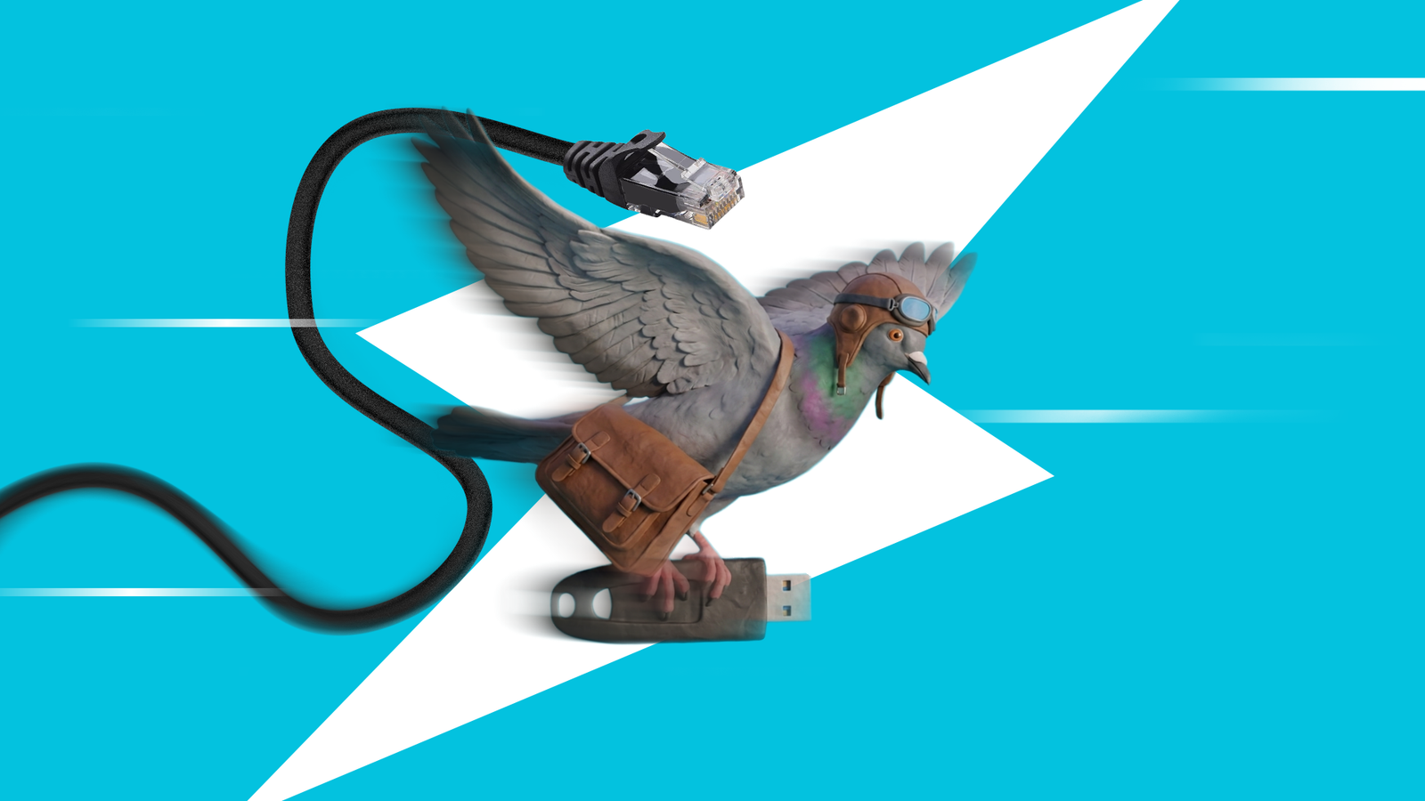 Pourquoi l'oiseau gagne encore en 2026