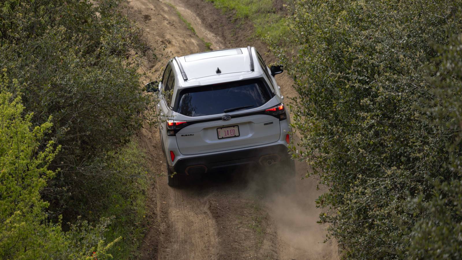 Pourquoi la Subaru Forester hybride 2026 se démarque