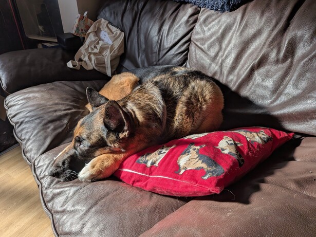 Image capturée sur le Pixel 10a