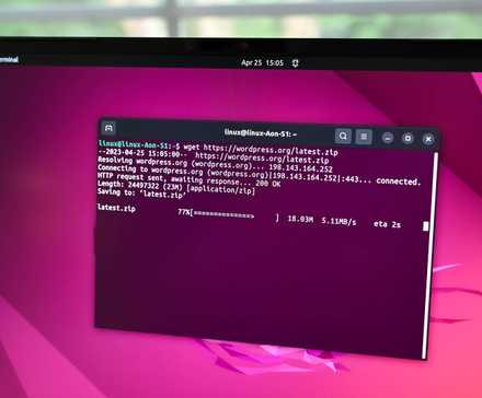 Un téléchargement autorisé via le pare-feu sous Linux. 