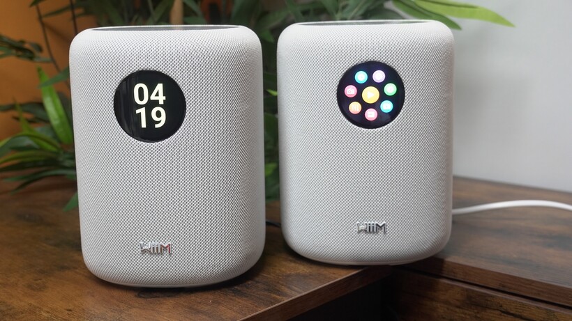 Paire stéréo WiiM Sound