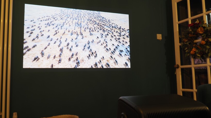 Dangbei MP1 Max Planète Terre