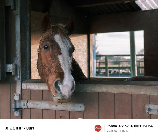 Image capturée sur Xiaomi 17 Ultra