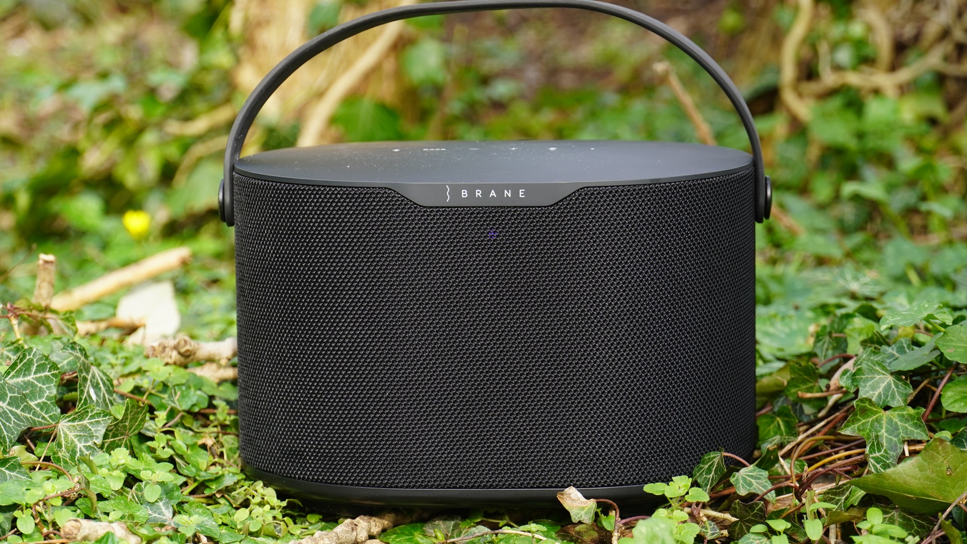 Revue Brane X : Insensé dans la Brane