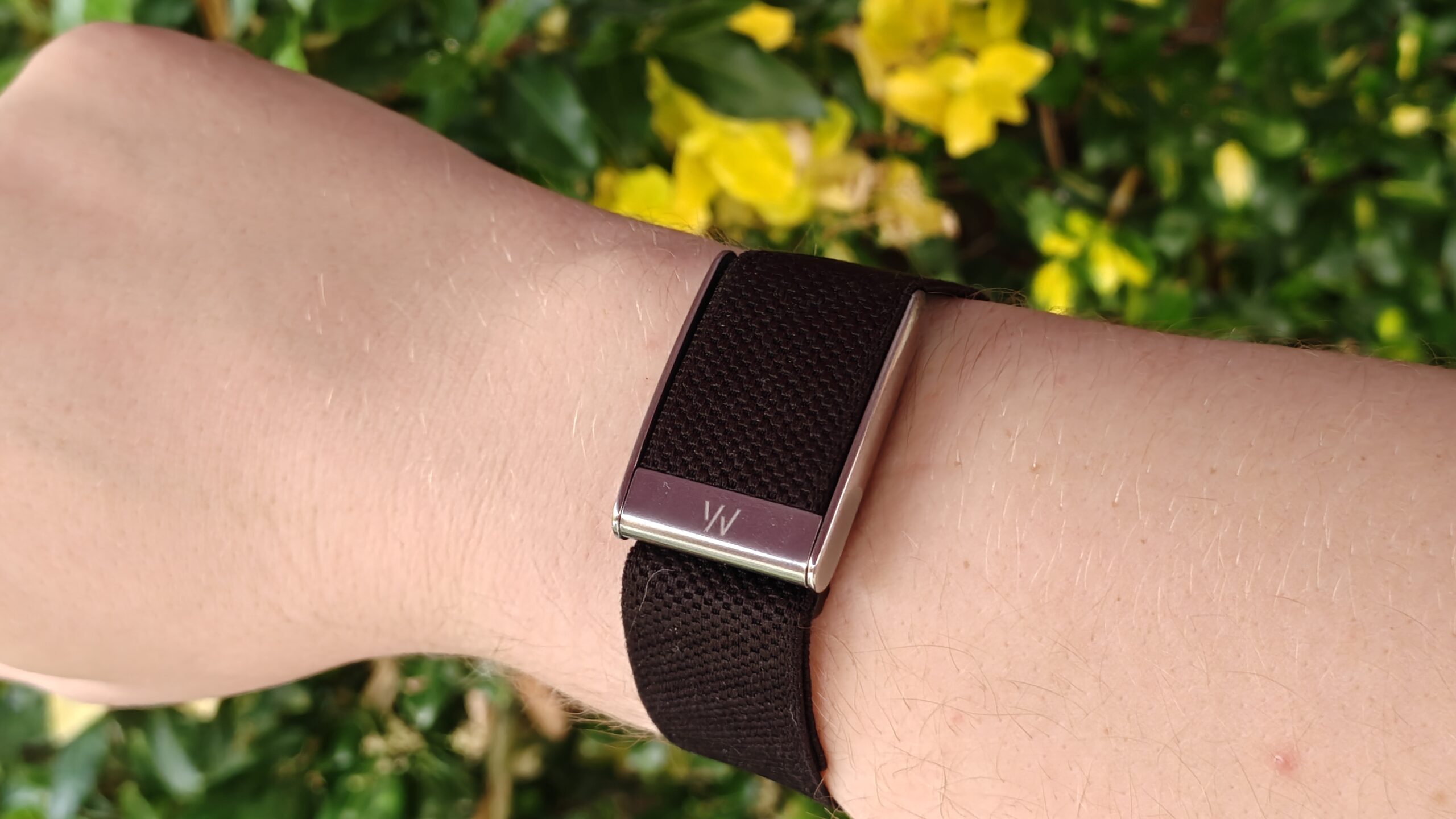 Le rival Whoop de Google pourrait enfin avoir un nom