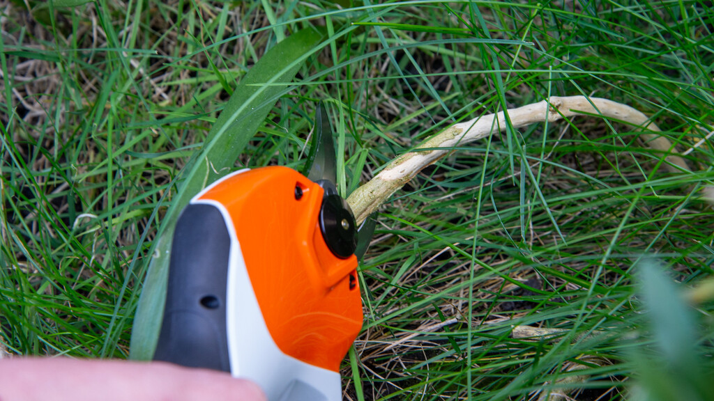 Sécateur sans fil Stihl ASA 20 coupant