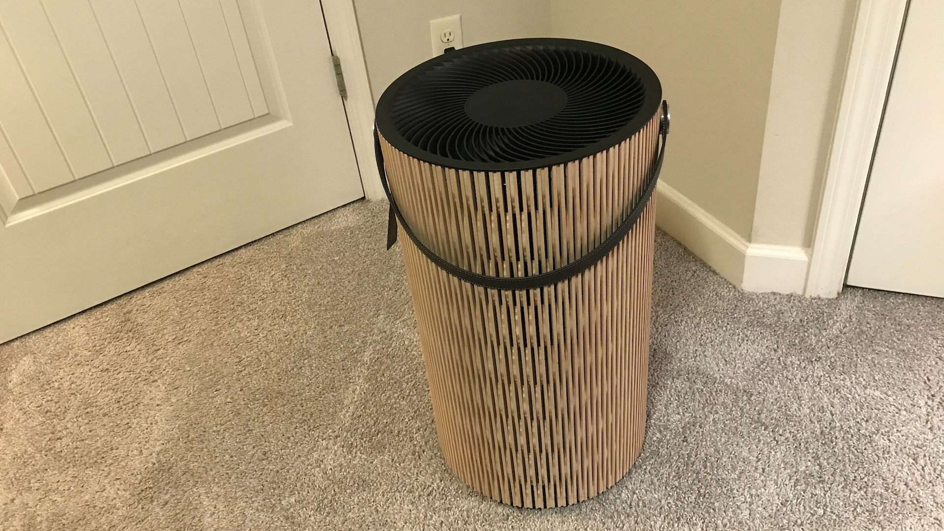 Examen du purificateur d'air IQAir Atem Earth